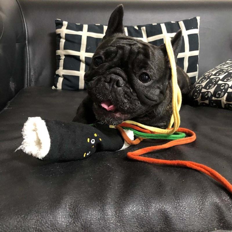 Игрушка-грызунок для раздачи лакомств для собак, мягкие жевательные игрушки для щенков, прорезывающихся зубов, мягкие, милые, плюшевые, пищащие, для маленьких и средних собак