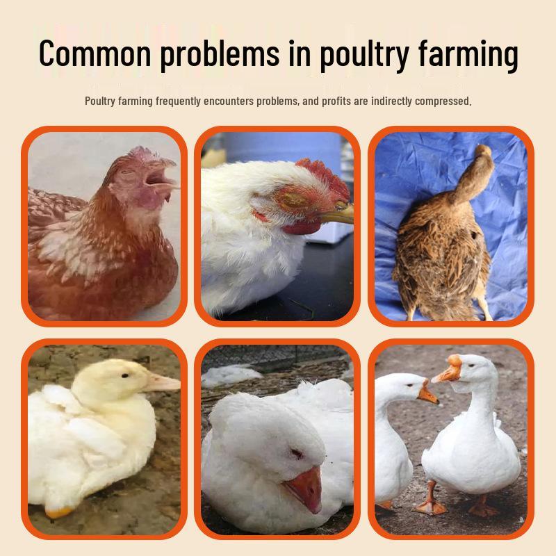 Птица Одна Капля: Решение для птицеводства (курица, утка, гусь, голубь) 100 мл