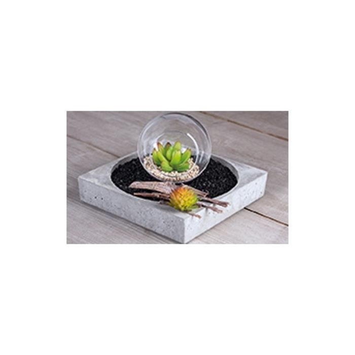 Plante artificielle - Rayher - Echeveria - 5 cm - Décorative - Relaxation intérieure