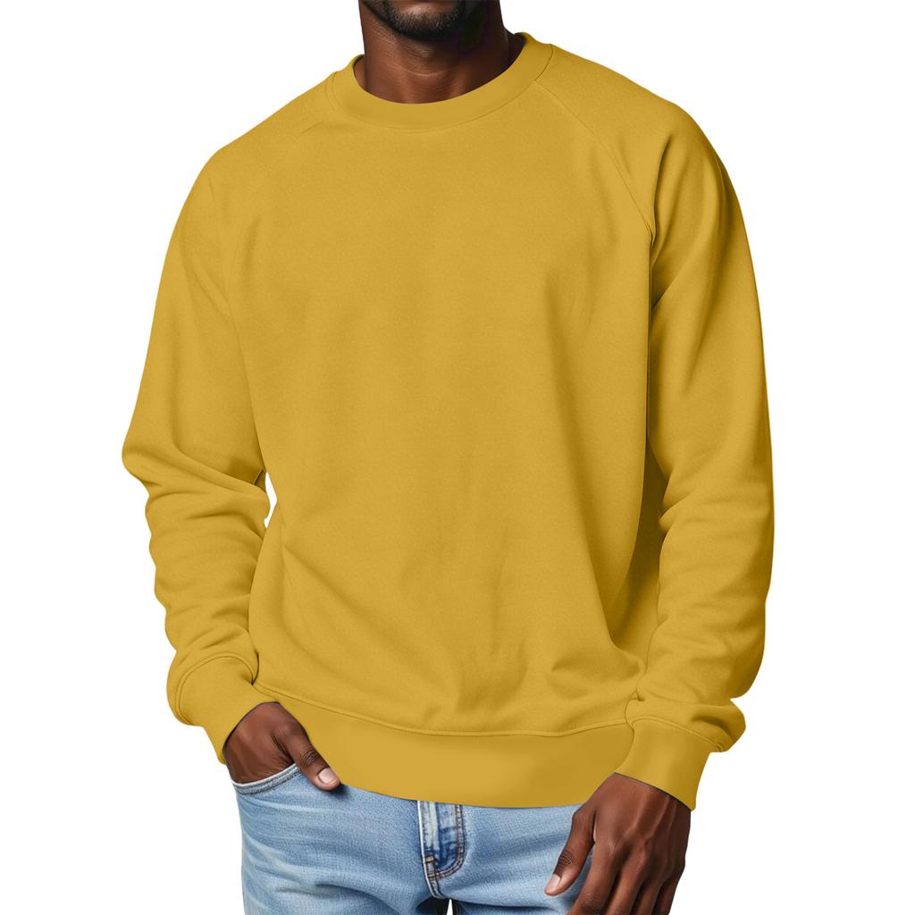Мужской свитшот с круглым вырезом, на флисовой подкладке, плотный, однотонный