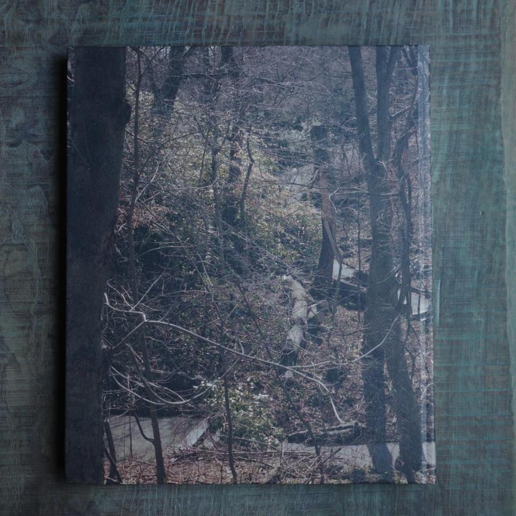 [Б/У] НА ПЛЕНЭРЕ Ирина Розовская Книга по искусству