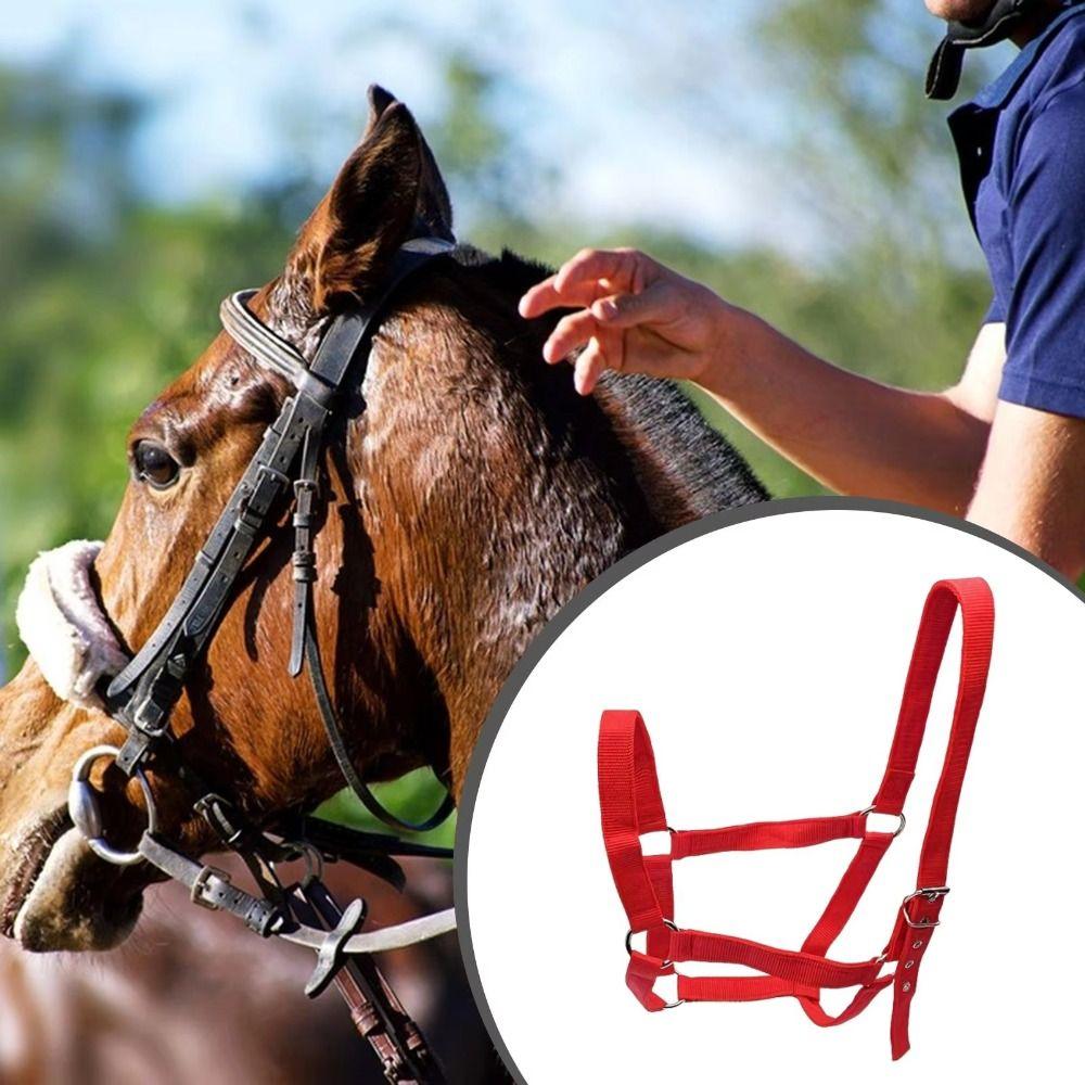 Adjustable Horse Halter Durable Horse Training Rope Universal Fit Equestrian Bridle Horse Training