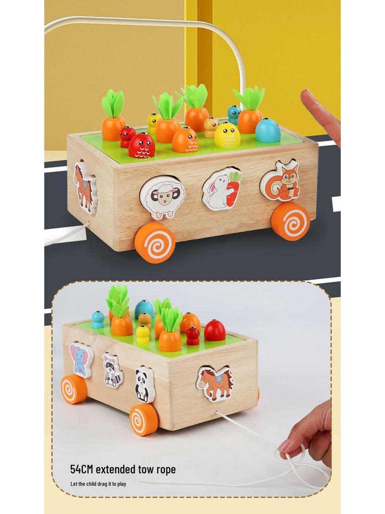 Ферма Сад Форма Конструктор и Набор Игрушек для Ловли Червей для Детей