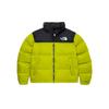 Куртка Nuptse 1996 700 Мужская NF0A3C8D-JE3