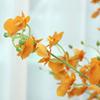 Artificial Phalaenopsis Flower Real Touch Faux Butterfly Orchid Branch for Tall Vase Wedding Home Office Party Hotel Decoration