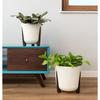 Donica Moss Eco Coffee Espresso 30Xh28