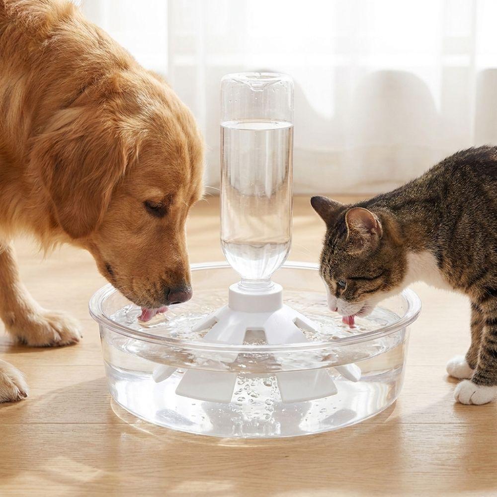 Anti Overturning Automatic Pet Water Dispenser 3D Printed Automatic Pet Feeder Balcony