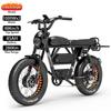 Electric Bike LANKELEISI X-Black Knight 1000Wx2 Dual Motor Electric Bicycle Adult Top Speed 48Km/h 48V 45AH Max Range 280Km Load 200KG Black