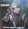 12inch Record CRUSH - Tell Me What's Happnin' BF1025 Bomb Factory Re 2000 US Rap & Hip-Hop/R&B Used