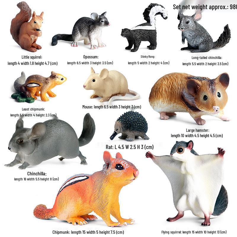 Children's Cognitive Rodent Simulation Toy: Chipmunk, Marmot, Squirrel, Guinea Pig Models