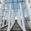 Комнатное растениеводство Посадочные стаканчики Гидропоника Посадочный стаканчик ПВХ Стаканчик для растений Набор из 10 штук Здоровый рост растений
