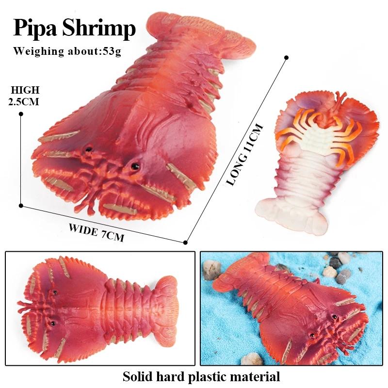 Oenux Морская звезда Океана Морской анемон Коралл Медуза Кальмар Креветка Краб Акула Животные Модель Фигурки ПВХ Миниатюра Детская Игрушка Подарок