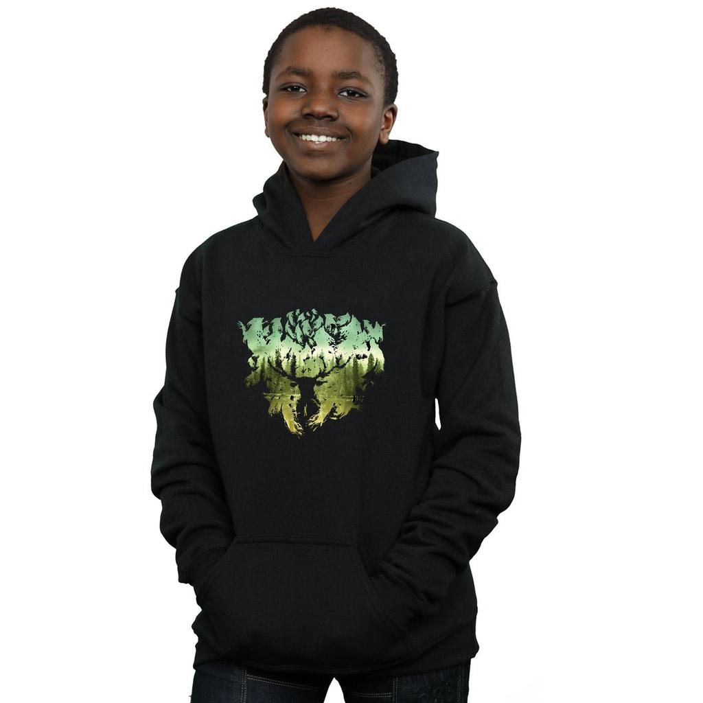 Harry Potter Boys Magical Forest Hoodie