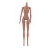 Solid Doll Jointed Nude BJD Dolls 1/6 Doll Figure Body Super Model Doll  Girl Toy Accessories