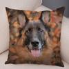 Домашнее животное овчарка декоративная наволочка для офиса гостиная автомобиль украшения дома наволочка