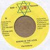 7-дюймовая пластинка PAD ANTHONY / JUNIOR DEMUS - Where Is the Love / More Love NONE Ras-I Records 2001 Ямайка Регги, Ска и Даб Б/У