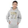 Star Wars Childrens/Kids 77 Rebel Heather Pullover Hoodie