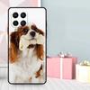 Cavalier King Charles Spaniel Dog Case For Samsung Galaxy M35 M56 M12 M06 M32 M52 M55 M15 M11 M13 M14 M16 M36 M31 M53 M34 M54