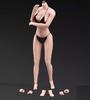 Toys & Hobbies [TOYBARJAPAN] 1/6 Scale Action Figure ANT AB003S, Normal Skin, Ultra-Flexible Seamless Body, Large Bust, No Clothes, Female Body