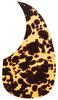 Scud Acoustic Pickguard ShellSpotted F-4002T3