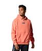 Under Armour UA DNA FLEECE PO HOODIE Coral Dust XL