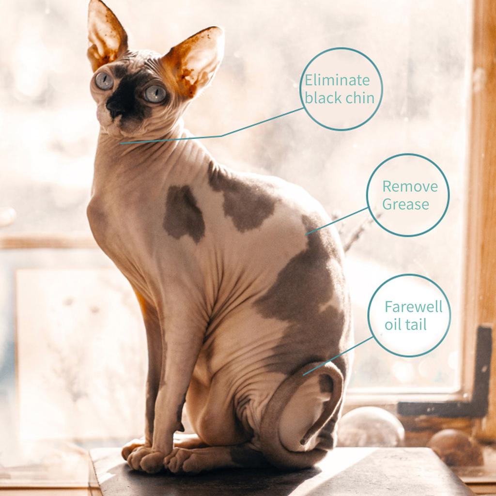 Deep Cleansing Cat Shampoo 500ml Keep Your Pets Clean and Healthy Grooming Mild Sphynx Cat Shower Gel Supplies