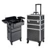 Multifunctional Aluminum Makeup Trolley Case with Large Storage for Artists, Manicure, and Hairdressing