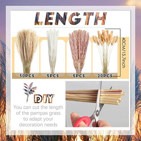 Красивая сухая тростниковая трава, не засохшая, изысканное декоративное мастерство