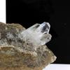 Quartz 733.2 Carats
