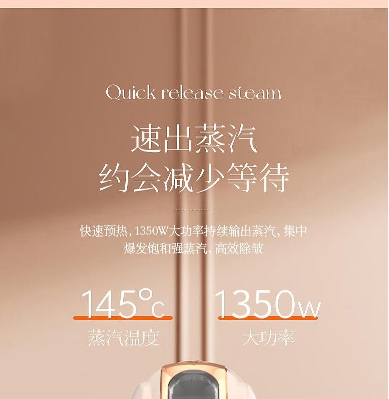 Rongshida Electric Iron Handheld Steam Engine