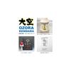 Rangs Japan Yamagata Koubou Competition Kendama Oozora Matte Line Turquoise Certified by Japan Kendama Association