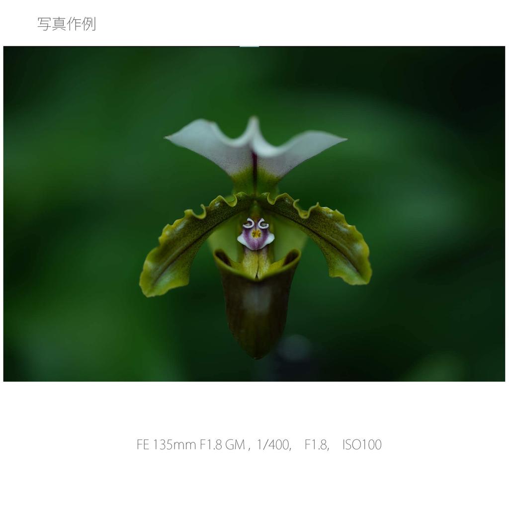 Sony Telephoto Single Focus Lens Full Size FE 135mm GM G Master Genuine Lens for Digital Single Lens Camera SEL135F18GM F1.8 [E Mount]