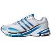 Supernova Cushion 7 'White Blue Rush' GY5241