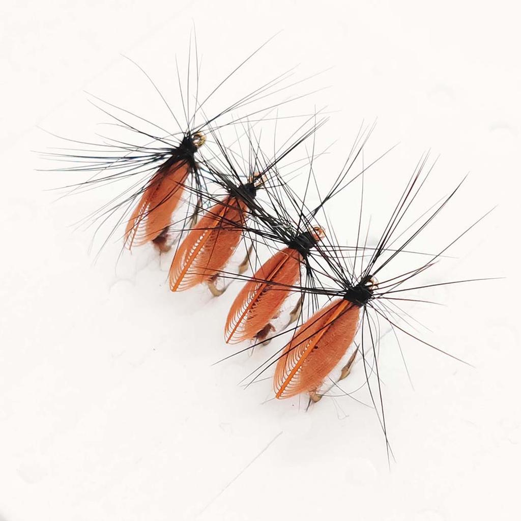 6/10 шт., размеры № 10, крылатые ручейники для лося и искусственные черные крылья, мушка для тела жука, сухие мушки, искусственные насекомые, приманка для форели, щуки, окуня, рыболовные снасти
