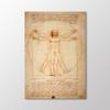 Vitruvian Man Painting