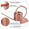 Stainless Steel Long Spout Watering Can Rustproof Leakproof Spray Kettle Watering Can  Indoor