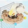 Деревянные игрушки-пазлы для попугаев, устойчивые к укусам, блоки, пробка, жердочка-подставка для птиц, износостойкая, прочная, точилка для клюва попугаев, активность для птиц