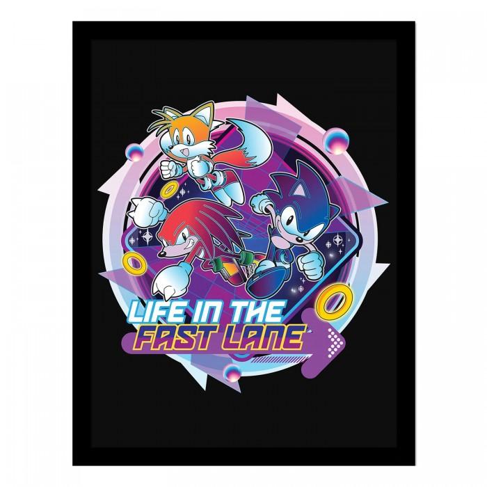 Sonic The Hedgehog Постер в рамке «Жизнь Хаоса на скоростной полосе»