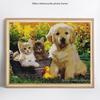 Алмазная картина горный хрусталь собака и кошка мозаика Алмазная вышивка крестом