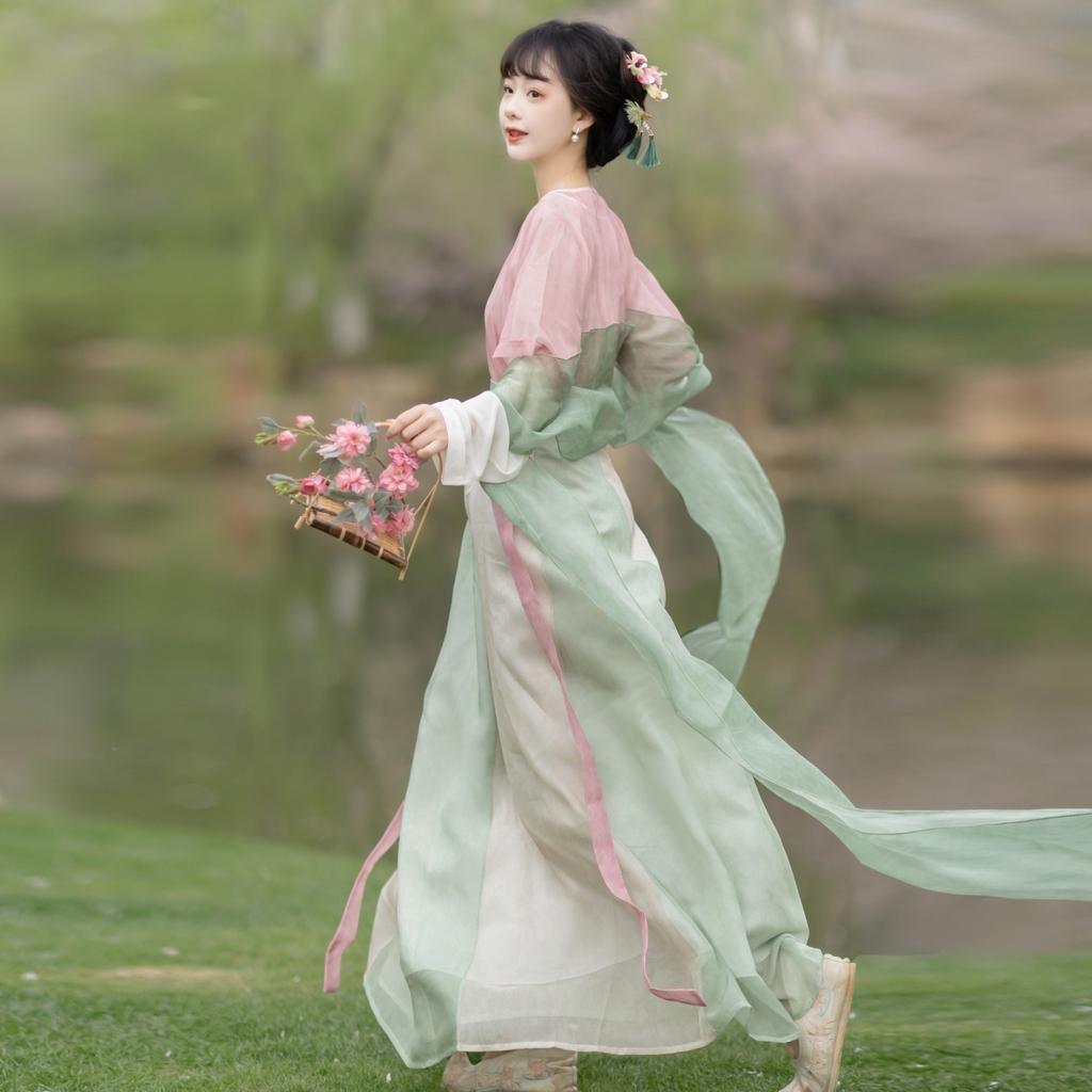 Chinese Tang Dynasty Style Hanfu Printed Daily Women's Suit