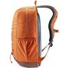 Рюкзак Deuter Gogo chestnut/umbra (3813224-6616)