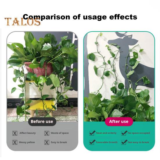 10/30/50/100 шт. держатель для растений, зажимы для крепления на стену для скалолазания с прозрачными наклейками, зажимы для фиксации растений в форме листа для внутренней и наружной стены
