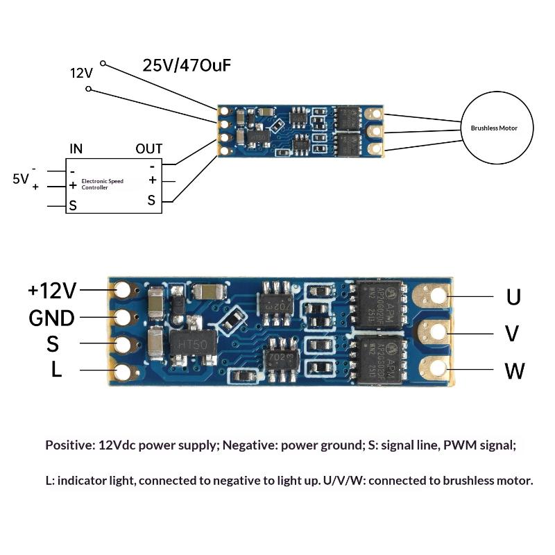 2S-3S DC 5V-16V 8A Мини RC Модель Бесколлекторный ESC PWM Драйвер Двигателя ESC Плата DL03 Микро Бесколлекторный ESC Контроллер