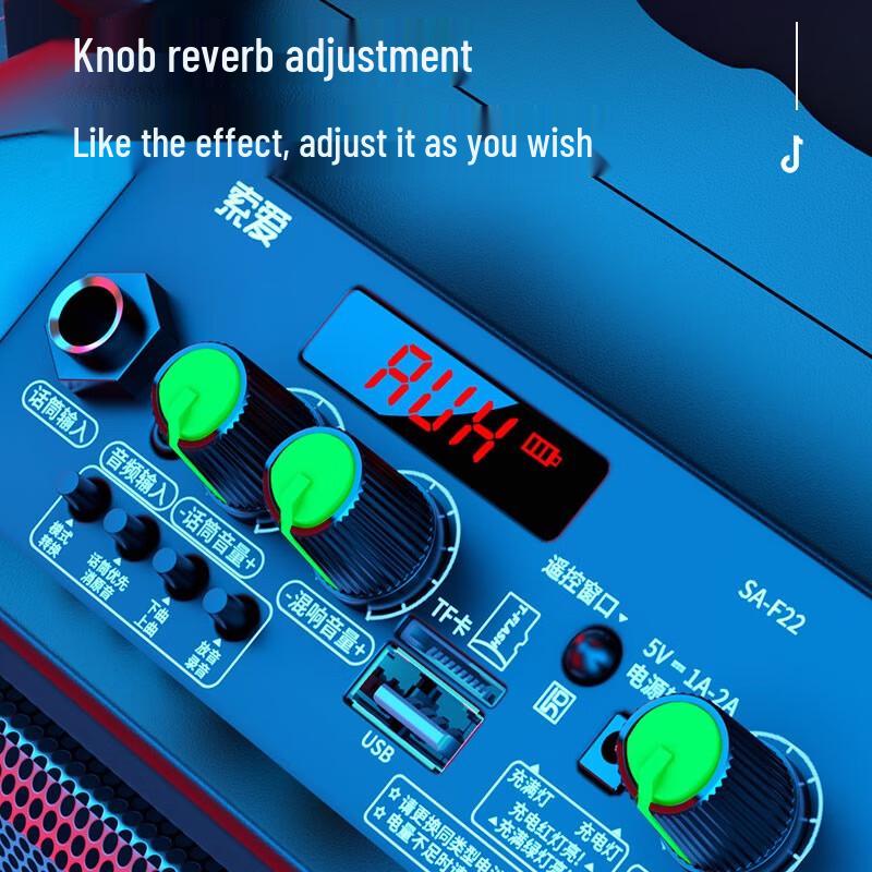 Suoai SA-F22 Portable Karaoke Speaker with Screen & Mic