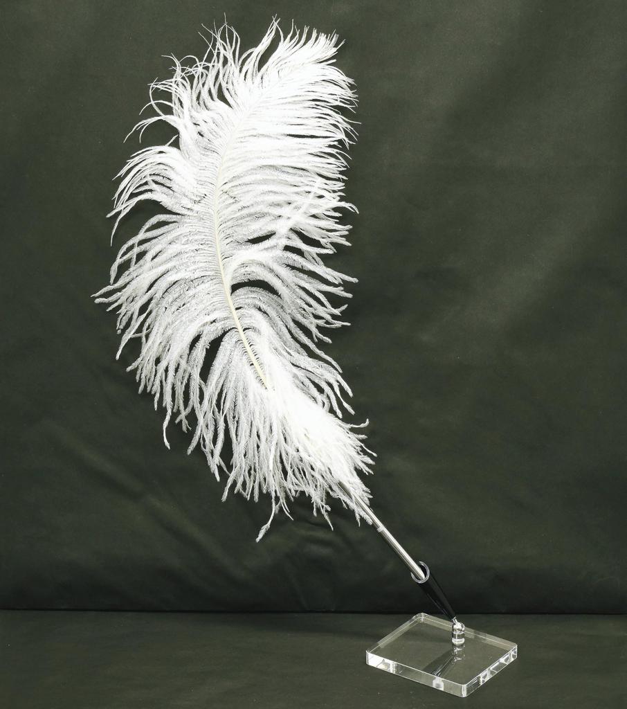 Набор из 2 штук латунных роторных ручек банкира с большим пером страуса, прозрачная акриловая подставка для ручек с черной ручкой и белым пером, японская обработка + держатель,