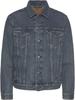 Демисезонная куртка Herren The Trucker Jacket broadway terrace
