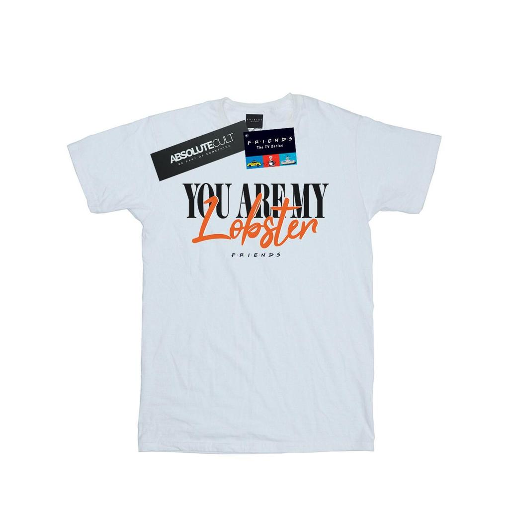 Friends Mens Lobster Soul Mates T-Shirt
