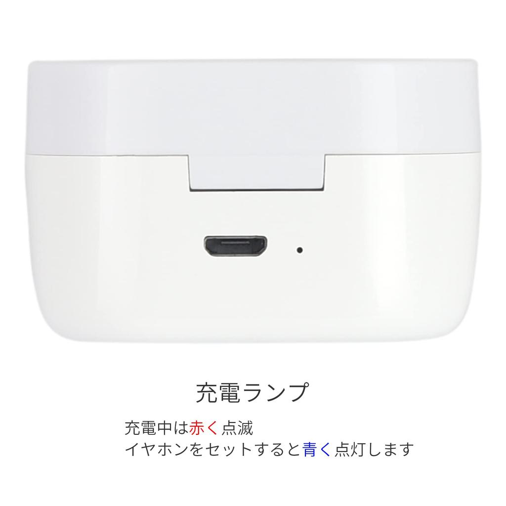 Gourmandies Disney Character Completely Wireless Stereo Earphones Nick Wilde DNG-91A