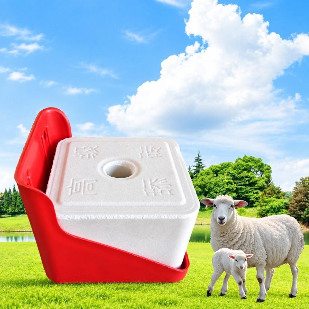 Thickened Salt Block Box Special Purpose Feed Salt Box Sturdy Lick Brick Rack Pasture Equipment