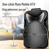 Soaiy SA-F67 Outdoor Portable Karaoke Speaker